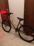 Bicicleta tamanho medio