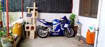 Yzf Yamaha R6  1999