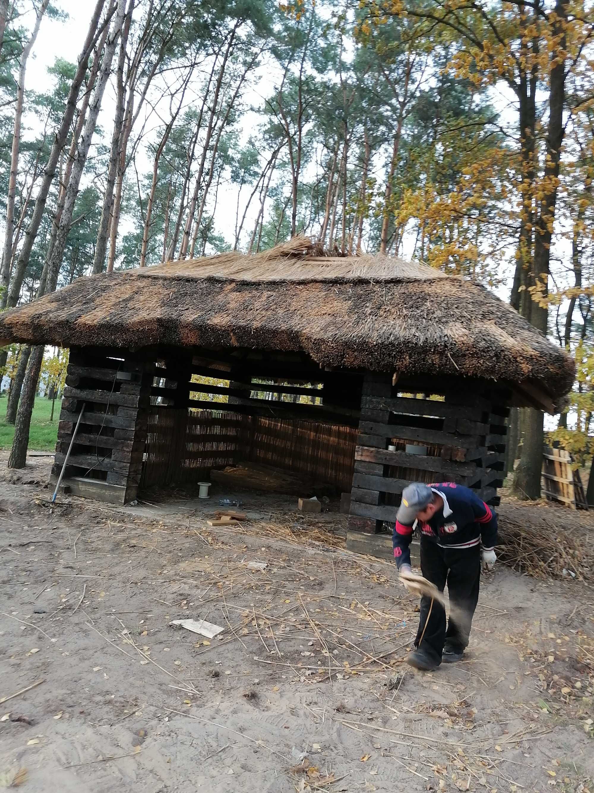 Pokrycia i poprawy dachów z trzciny,strzechy trzcina