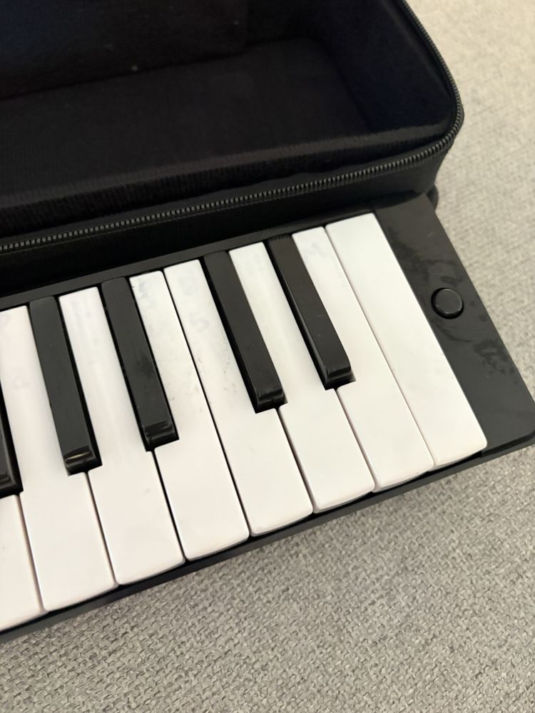 Melodica marca walther con estojo