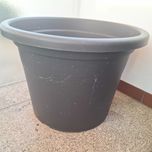 Jardim - vasos plástico para plantas