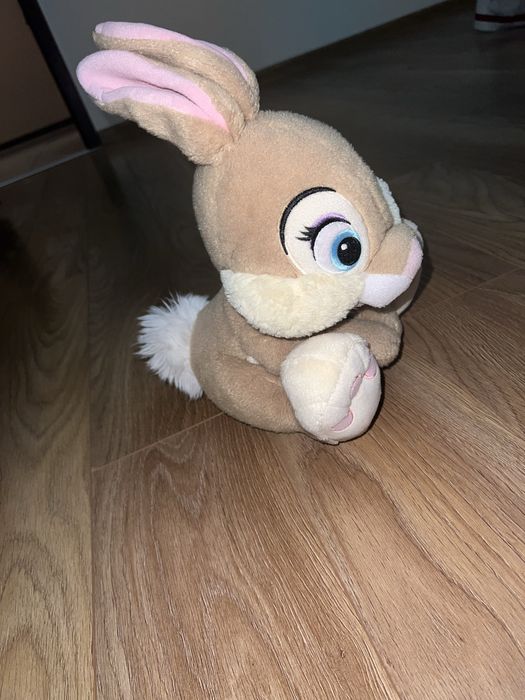 Tuptuś disneyland disney store