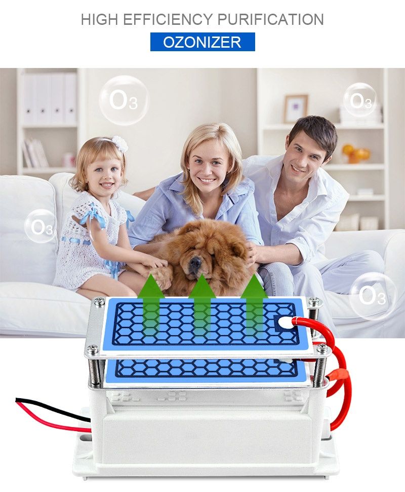 Ozonator generator ozonu 220V 10g 80W oczyszczacz powietrza