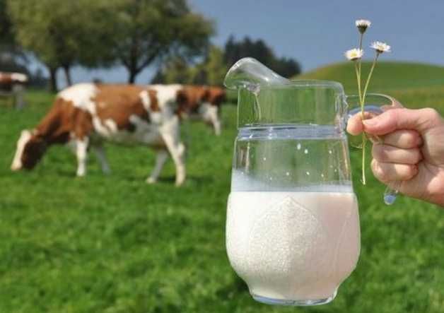 Фермерское Молоко цельное охлажденное  - самовывоз