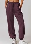 Штани спортивні Alo Yoga Accolade Sweatpants Purple px444-PR
