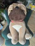 Maskotka mops duży pluszak 85cm
