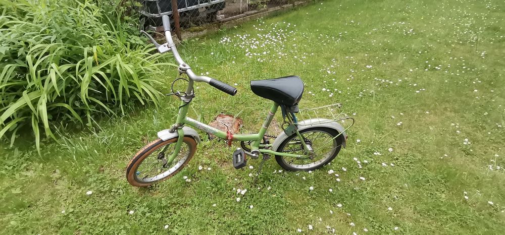 Rower domino zielony