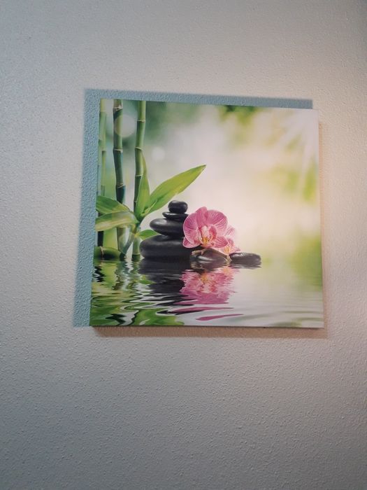 Conjunto de 5 quadros