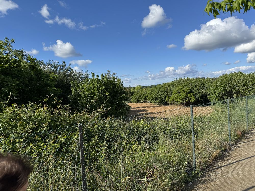 Terreno na avenida sra do castelo mangualde