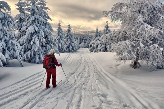Wolny weekend Domek z Balią w lesie