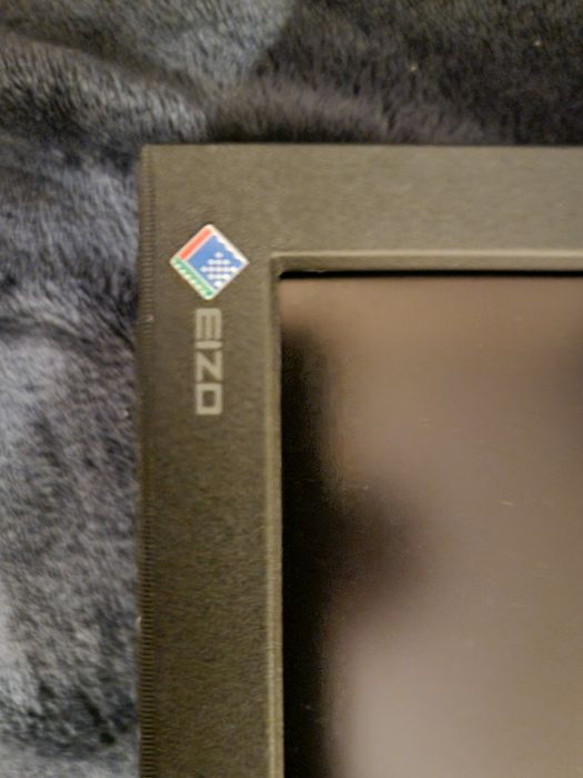 Eizo Radiforce MX210 monitor