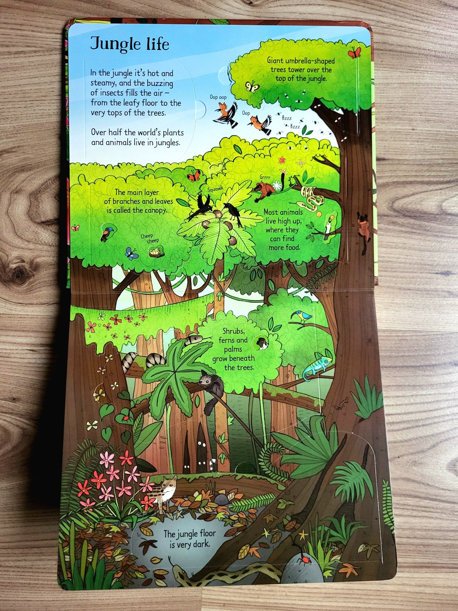 The Jungle Usborne Look Inside z okienkami po angielsku
