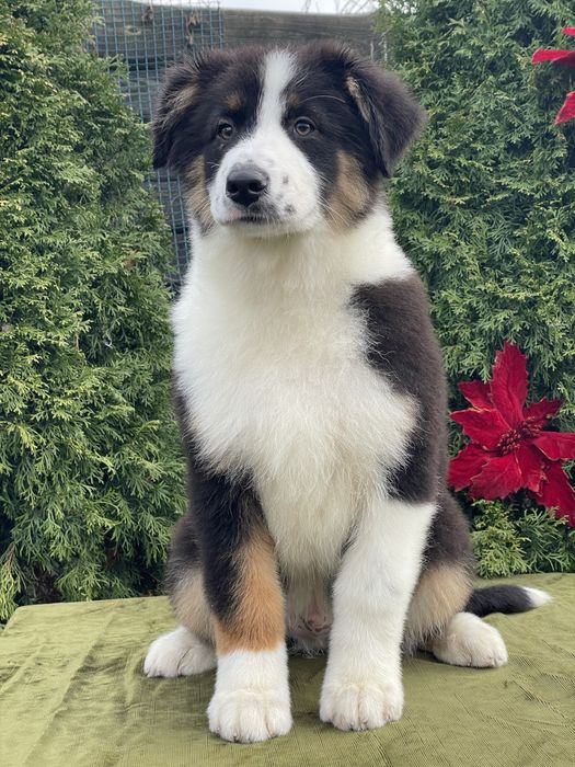 Хлопчик шукає родину