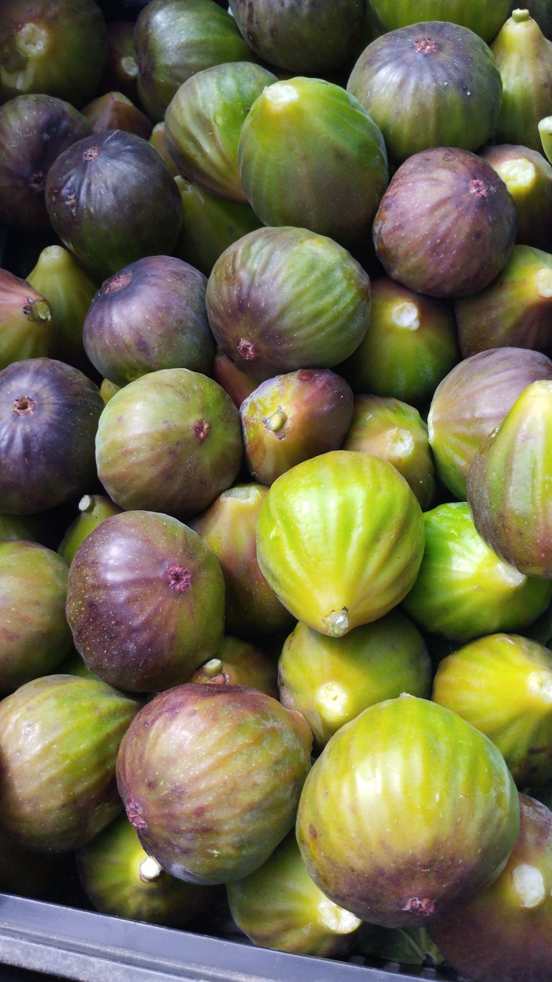Vendo figos de s.joao