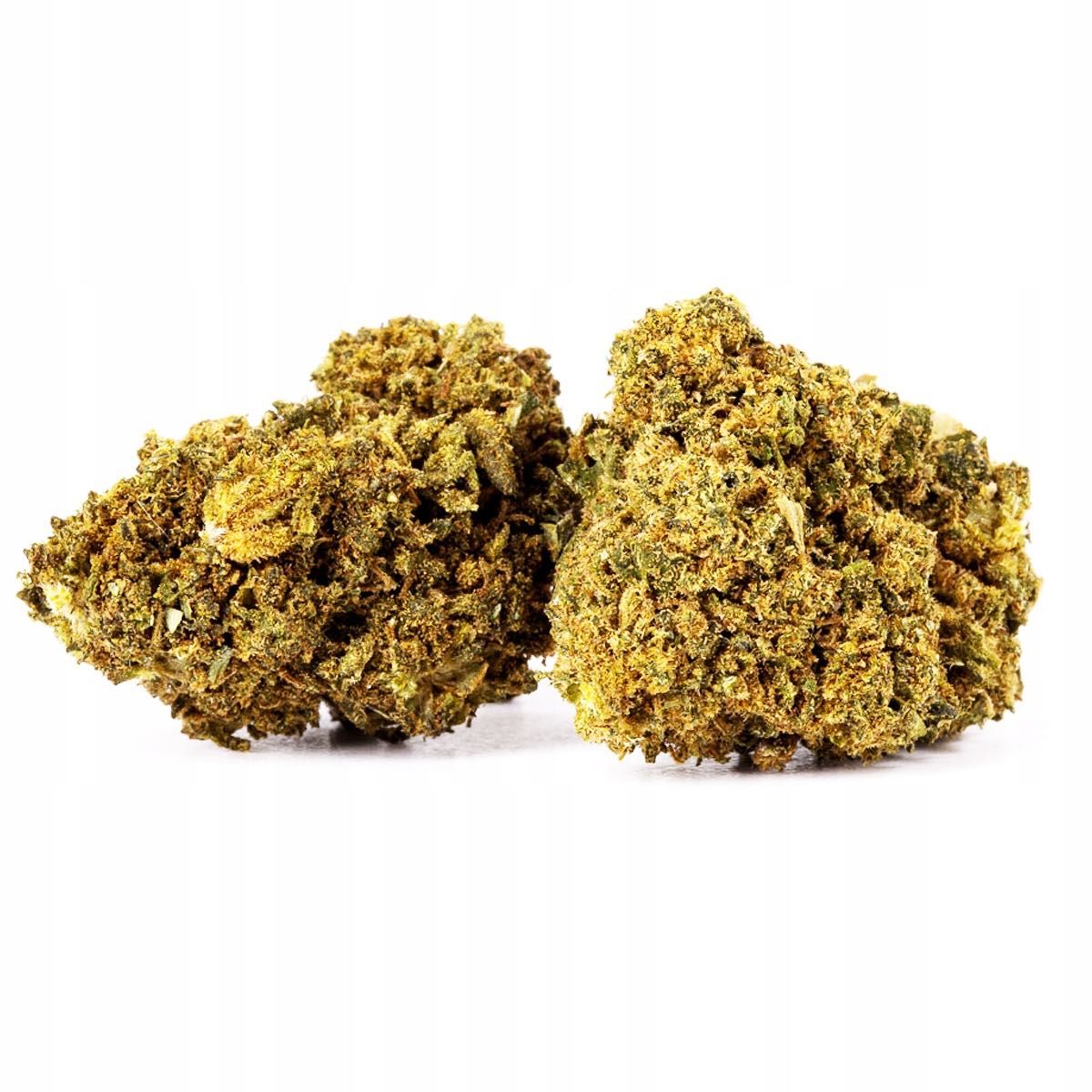 50G Susz konopny CBD JACK HERRER 30% Producent Szwajcaria