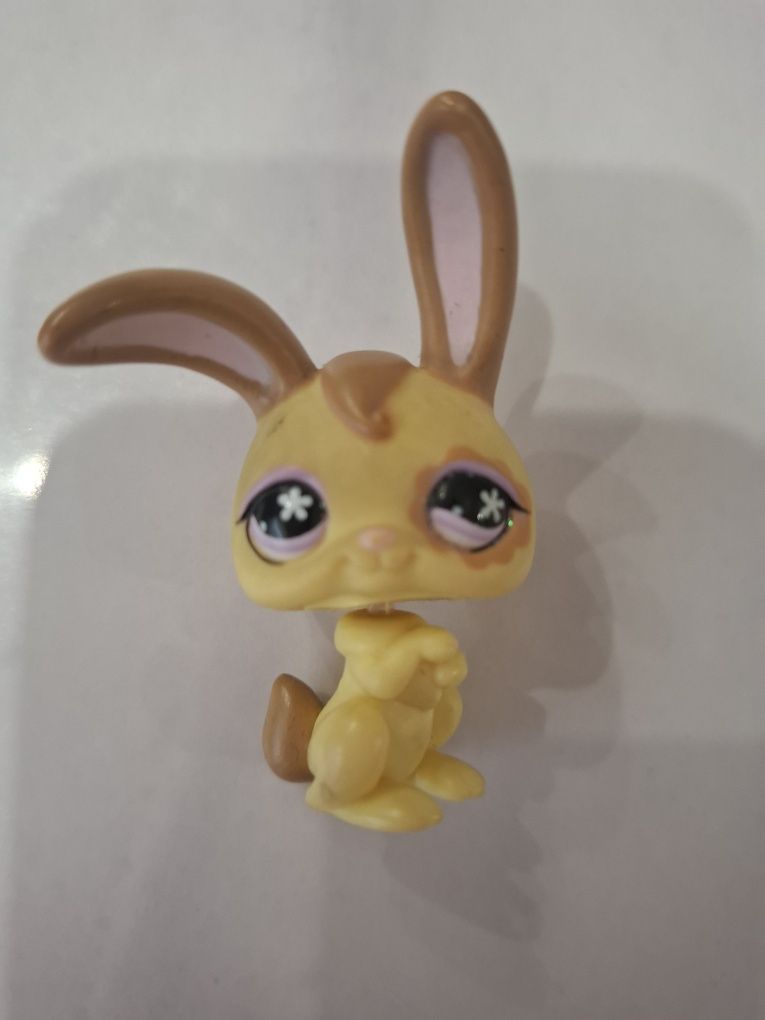 Duży zestaw figurki LPS Littlest Pet Shop