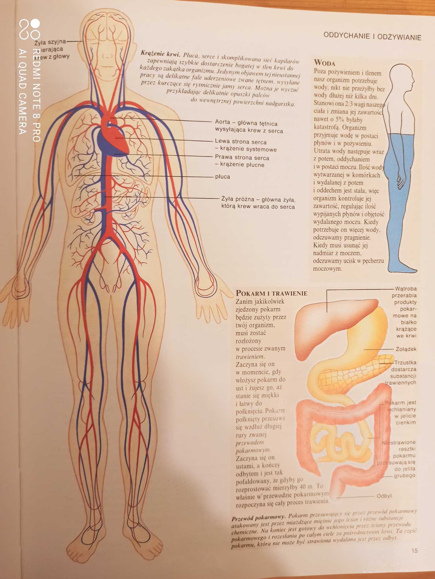 Encyklopedia Szkolna Collins dla dzieci i młodzieży