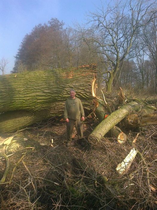 Wycinka drzew,czyszczenie działek,rębak,koszenie,cięcie drewna
