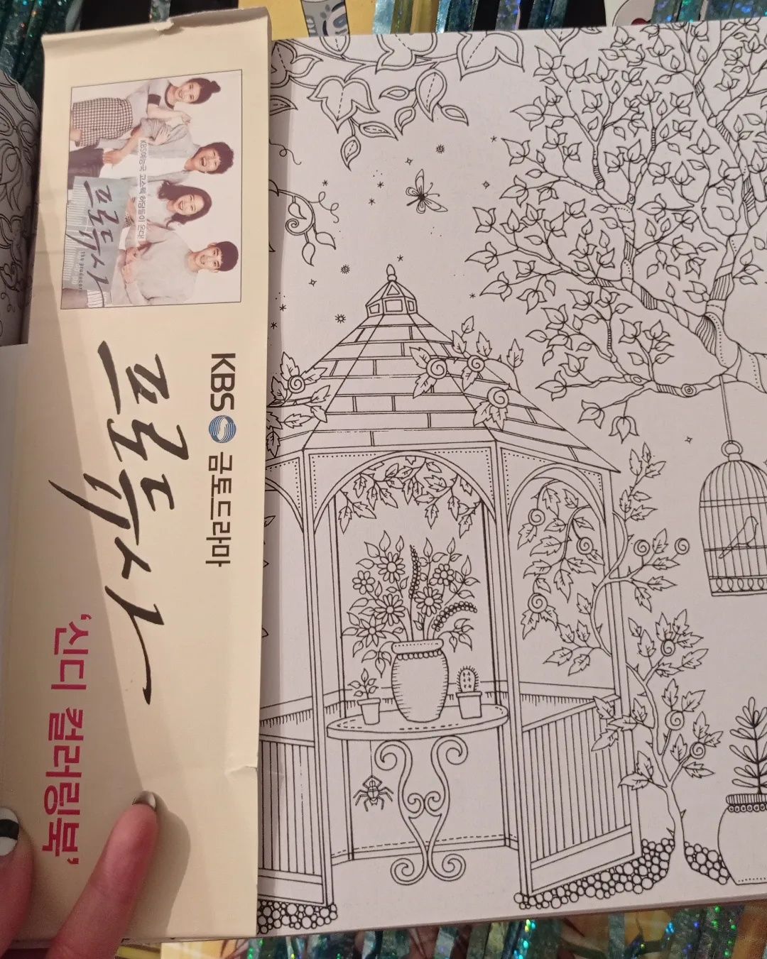 Аниме япония  Secret garden антистресс раскраска корея kpop