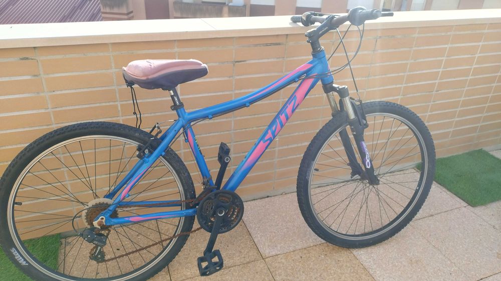 Bicicleta Spitz Terrain 10