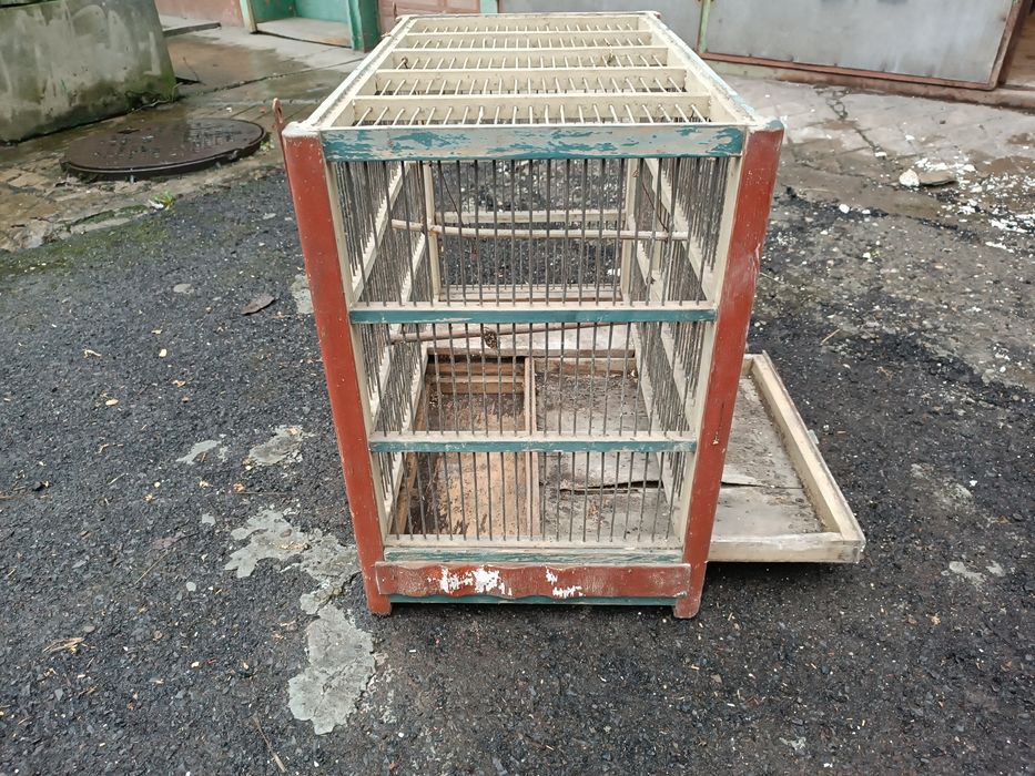 Клітка для папуг