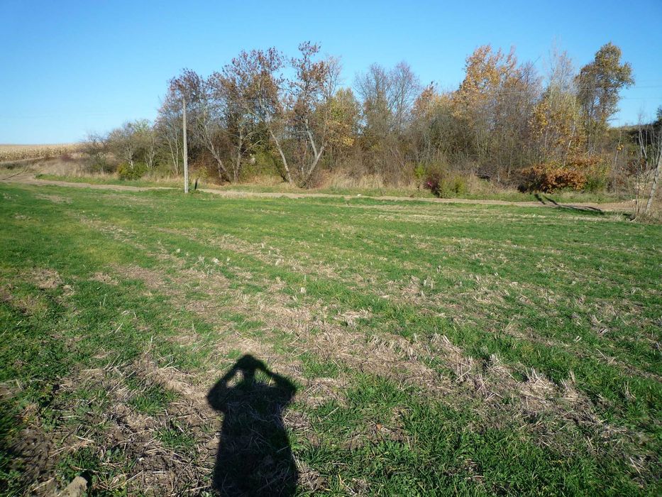 Działka 5 arów Jasiona, ok 750m od osiedla Jesionowe Wzgórze Prudnik