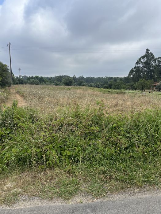 Vendo terreno urbanizavel em aguada de cima, Negociavel