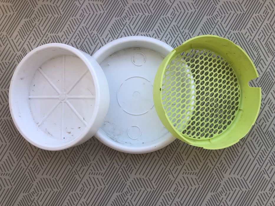 Germinador erva para gatos