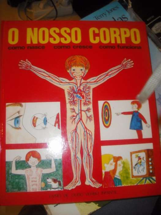 Livro didáctivo infantil