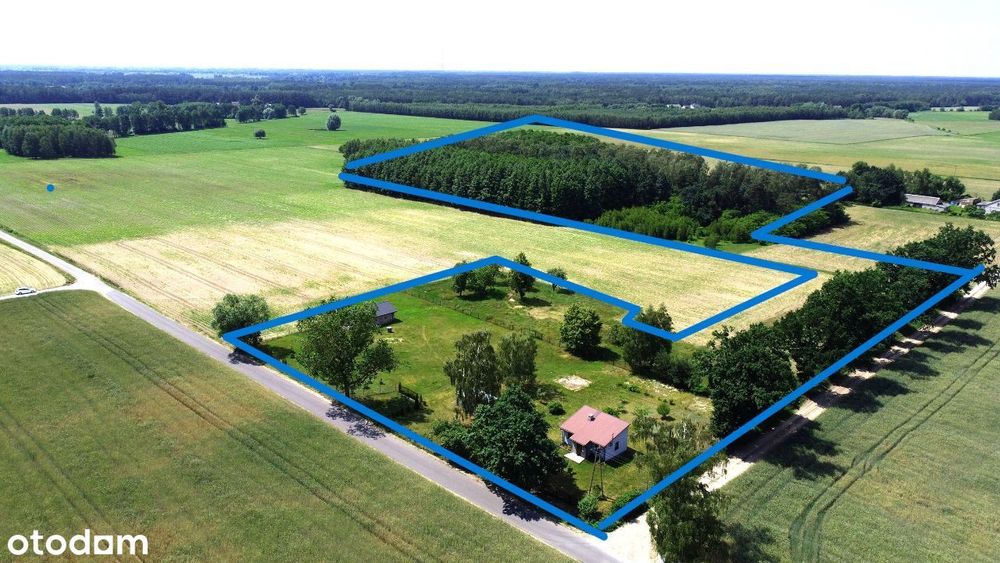 Siedlisko z budynkami i  lasem 2,8 ha +WZ