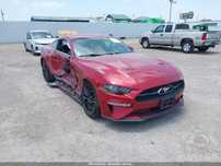 Розбірка Ford Mustang VI, капот, крило, фара, бампер, двері, двигун