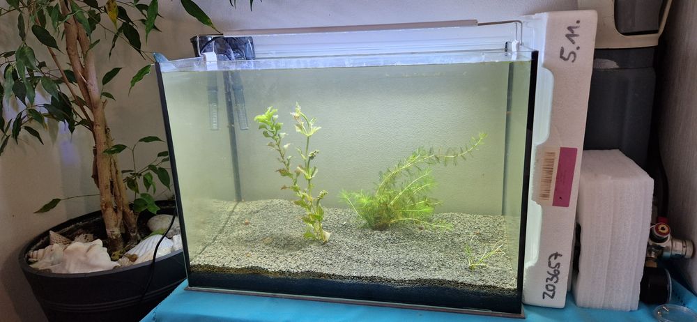 Akwarium wraz z niezbędnym zestawem