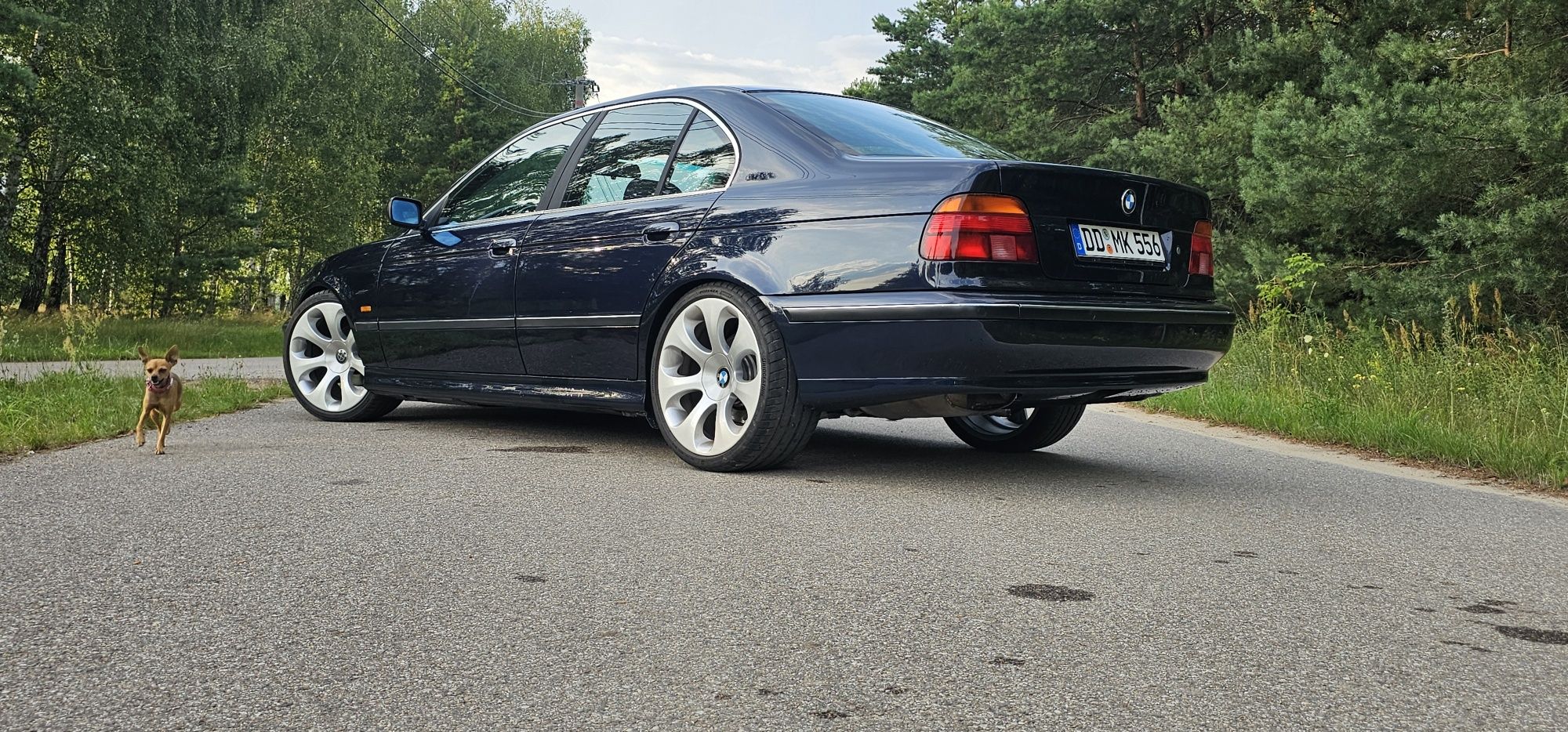 Bmw 523i import xenon ładna