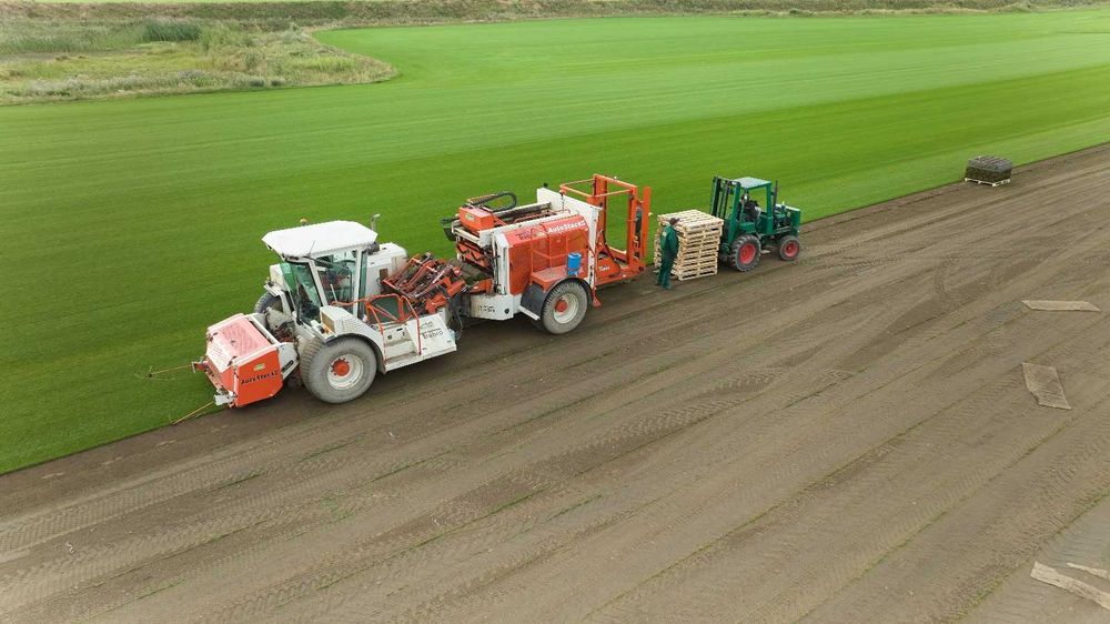 Trawa w rolce z rolki "Trawnik Producent" chłodzona próżniowo POLSKA