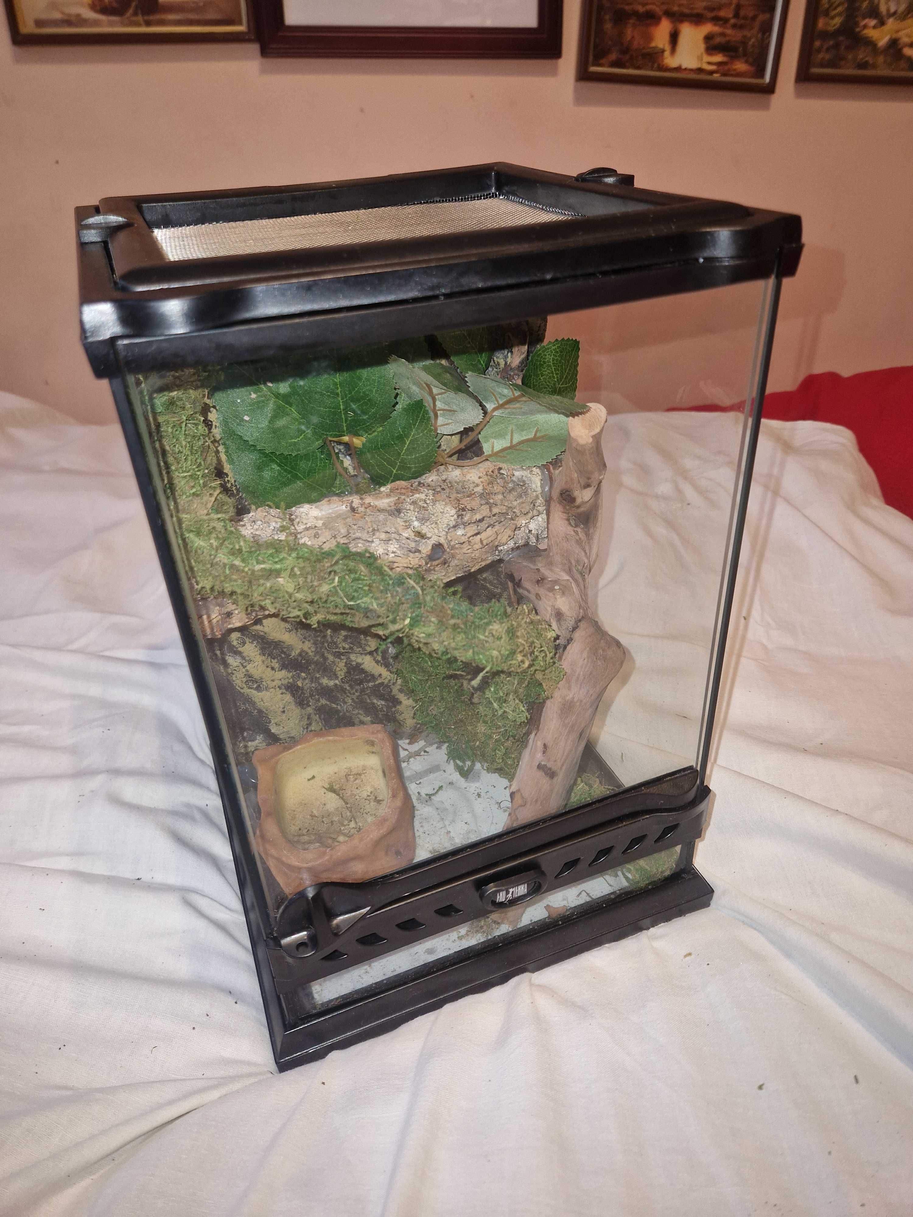 NOWE EXO-TERRA Terrarium szklane NANO TALL 20X20X30 cm