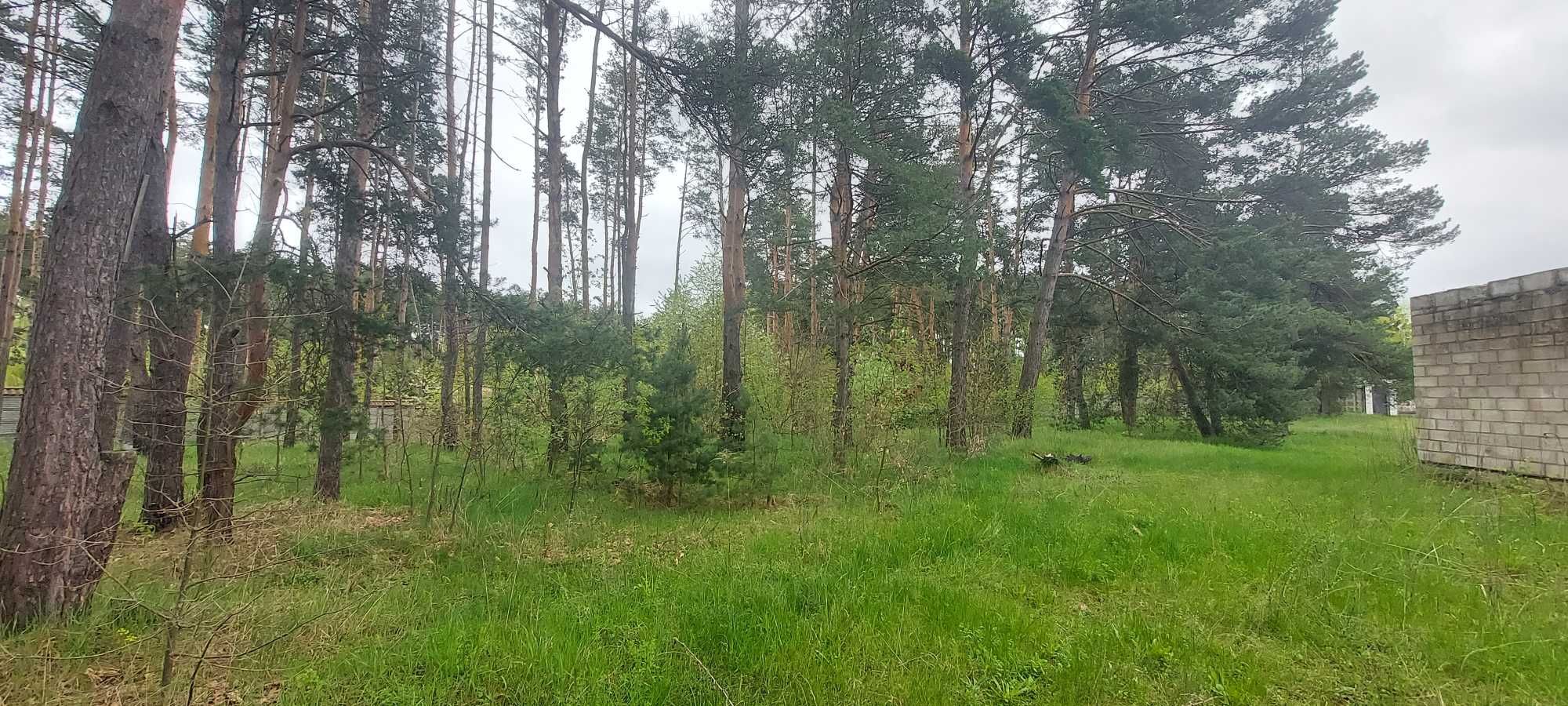 Продається З.Д.з будинком із шматочком власного соснового лісу