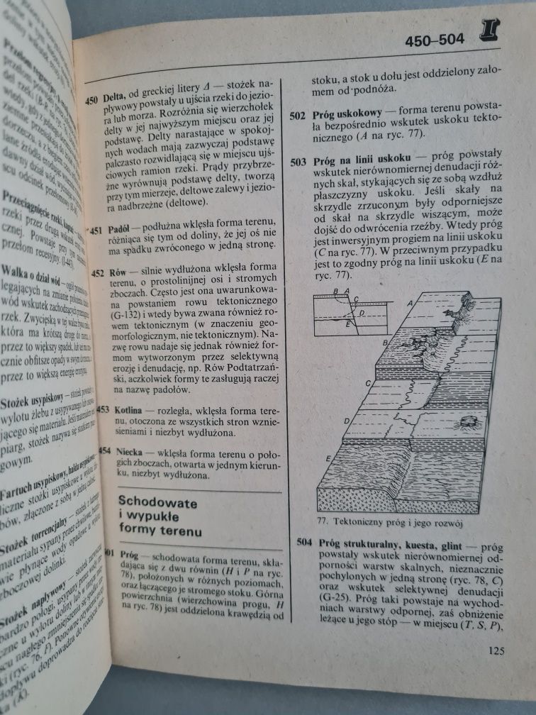 Szkolny słownik geograficzny - Jan Flis