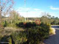 Lote Terreno