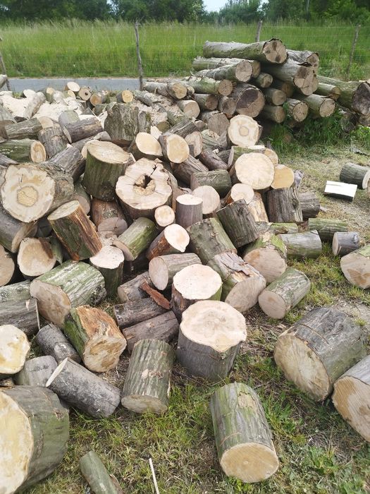 Sprzedam drewno opałowe