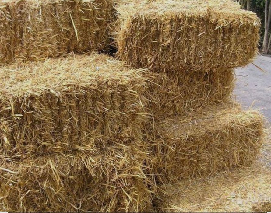Солома  в тюках!!!