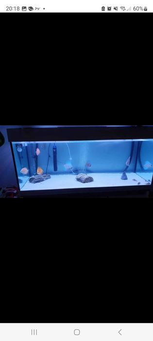 Aquario 250lts + movel + filtros + extras
