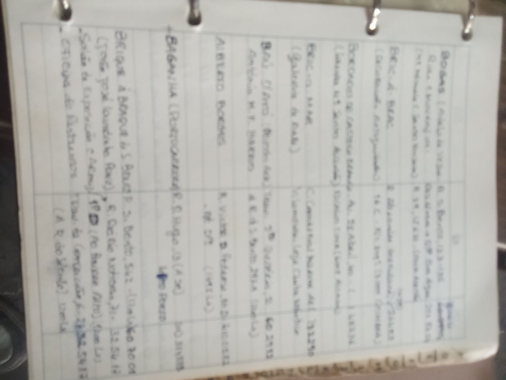 Lista Agenda de clientes lojas de arte.