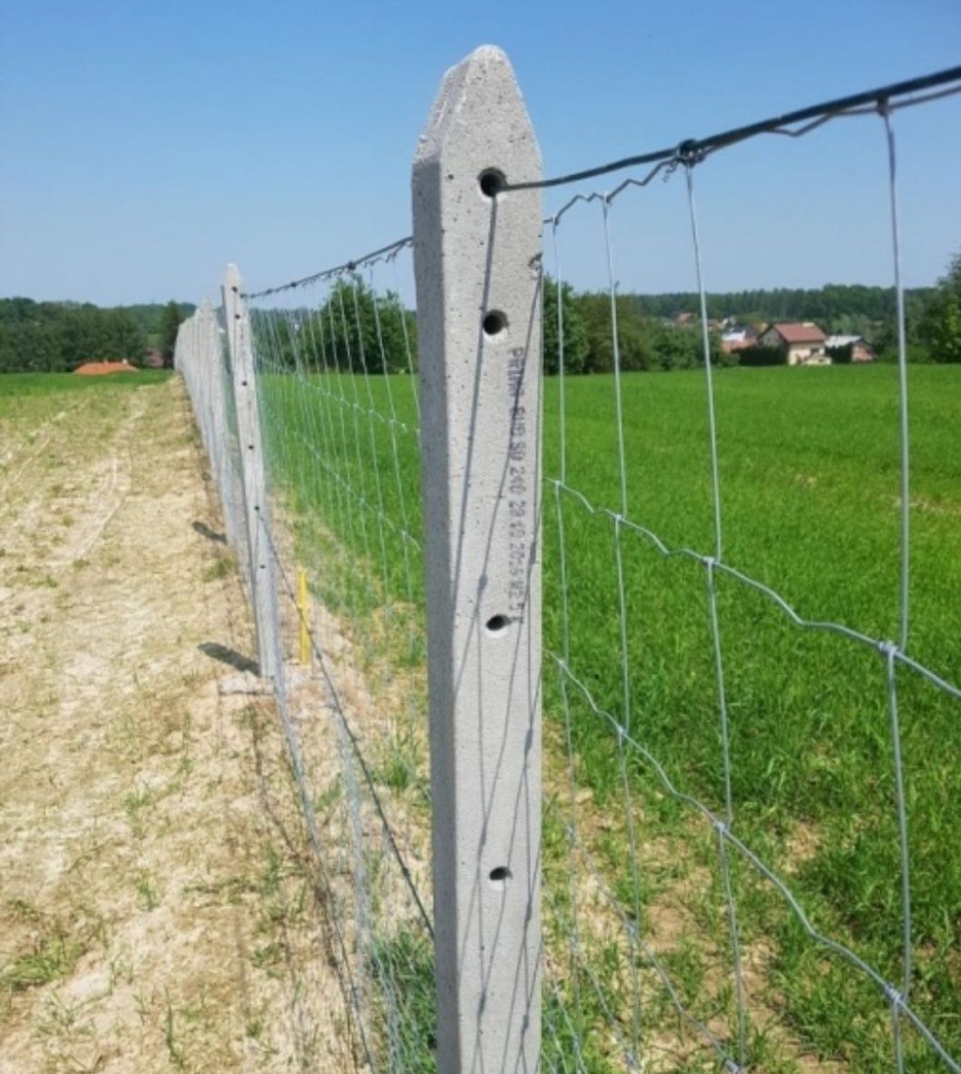 Ogrodzenia siatką leśna - siatka leśna