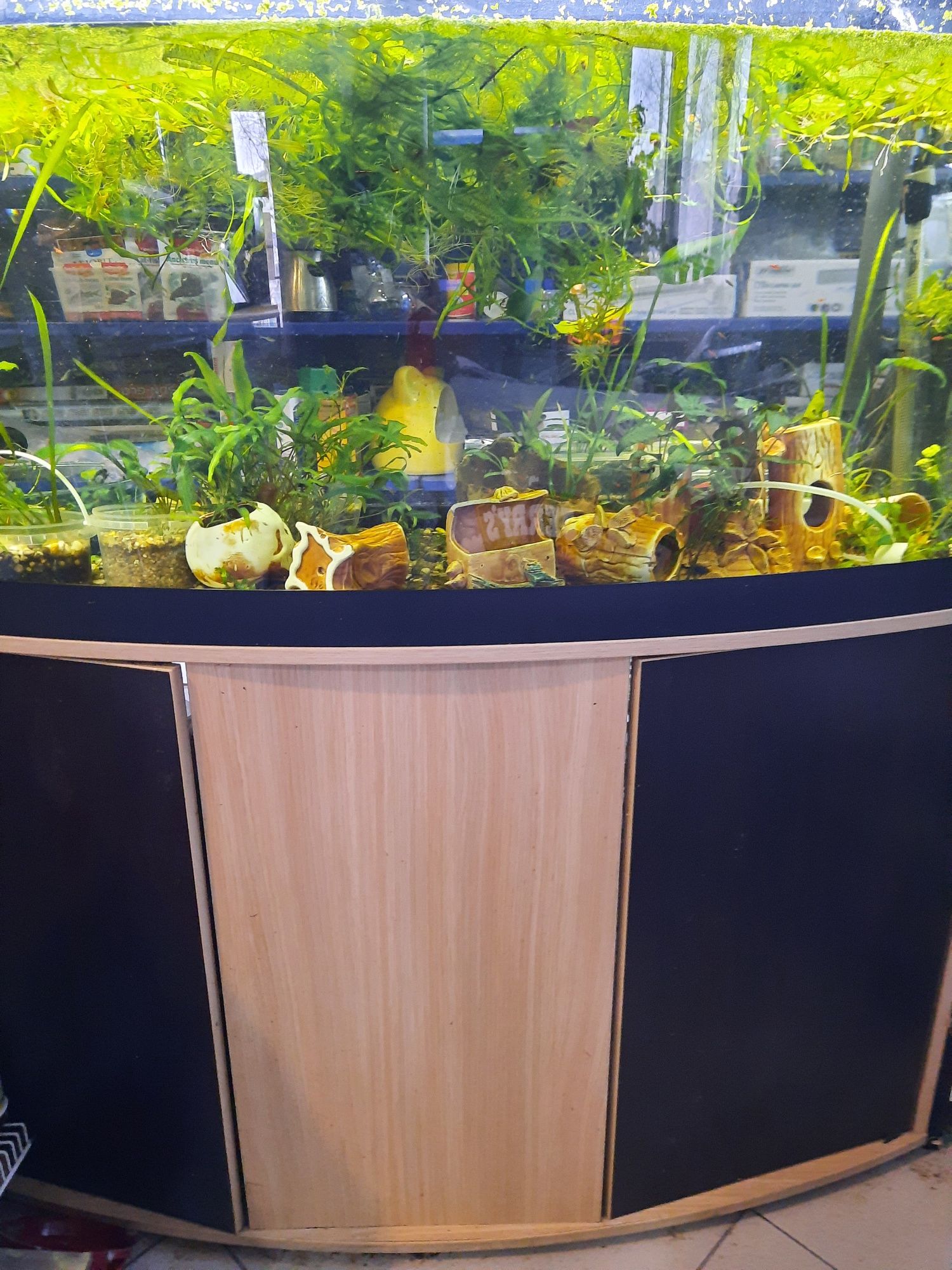 Акваріум Hagen fluval vicenza 260l