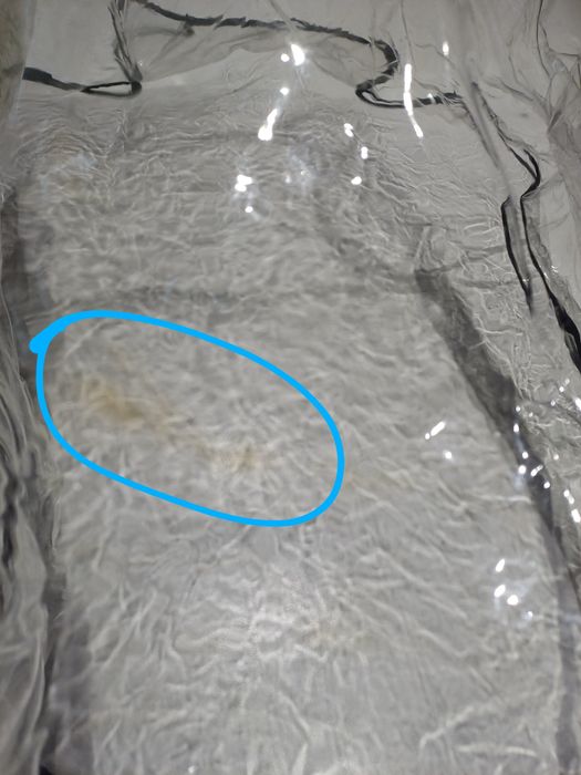 Capa da chuva para carrinho Quinny