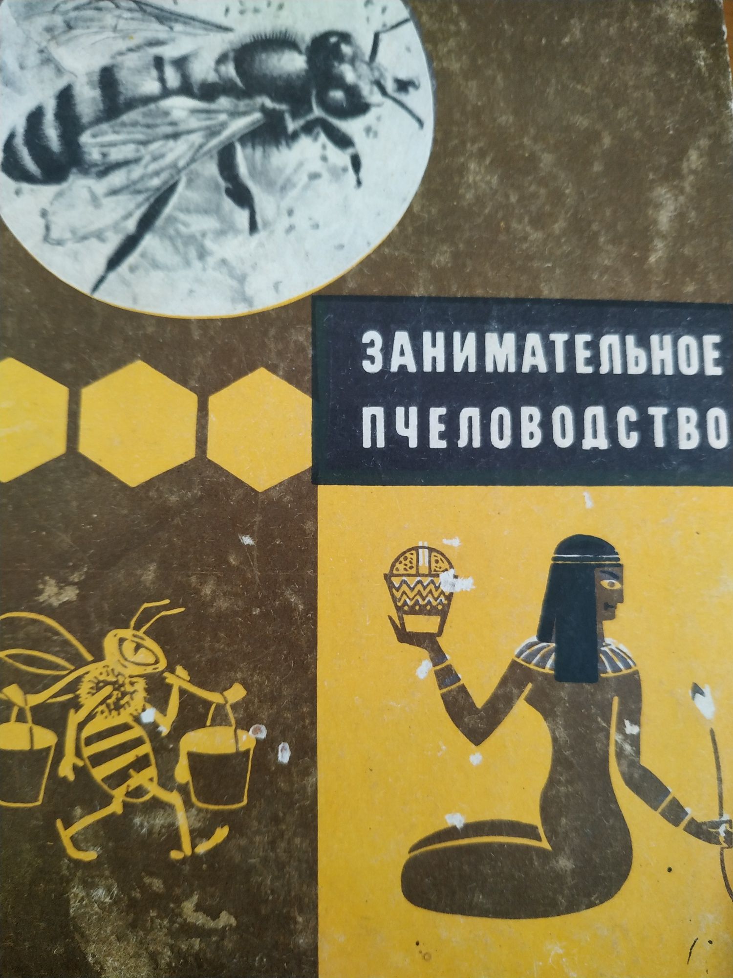 Занимательное пчеловодство +продукты пчеловодства в подарок