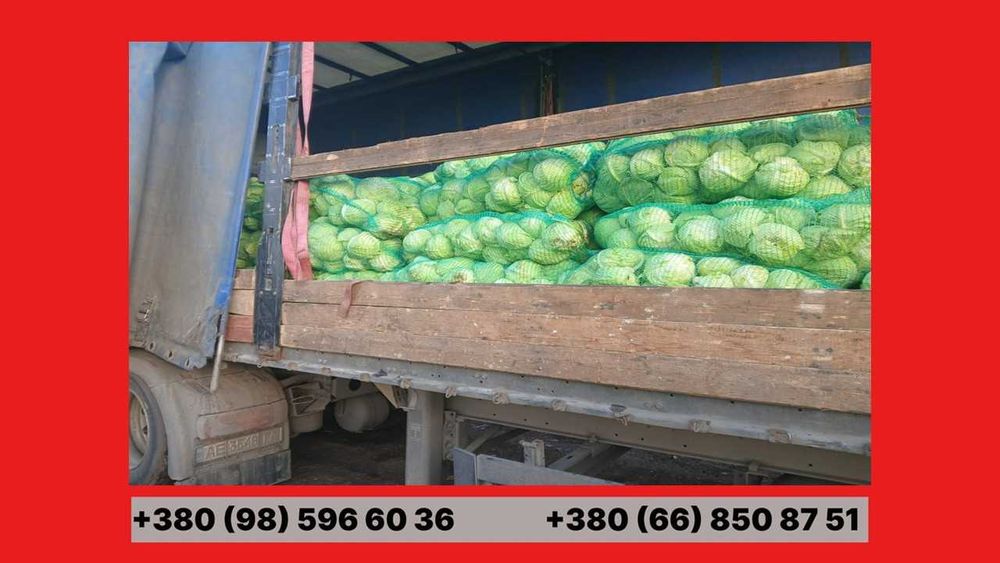 Вантажні Перевезення Грузоперевозки Харчових продуктів Агро Тент
