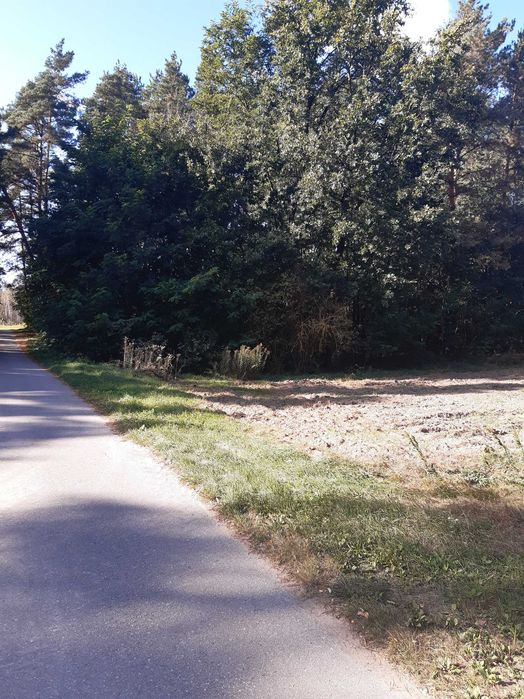 Sprzedam  zalesioną działkę w miejscowości Nowa Wieś Śladów 1,18 ha