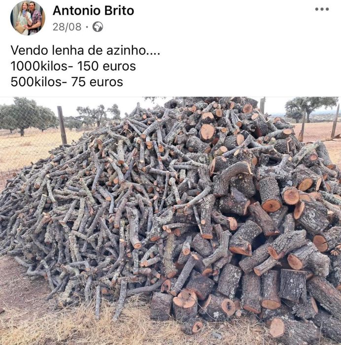 Lenha de azinho grossa e fina