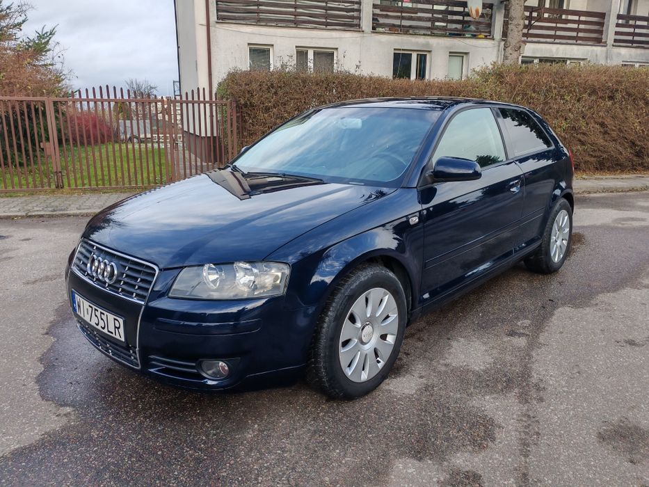 Audi A3 8P 1.6 MPI (102 KM), Benzyna, 2004 r.